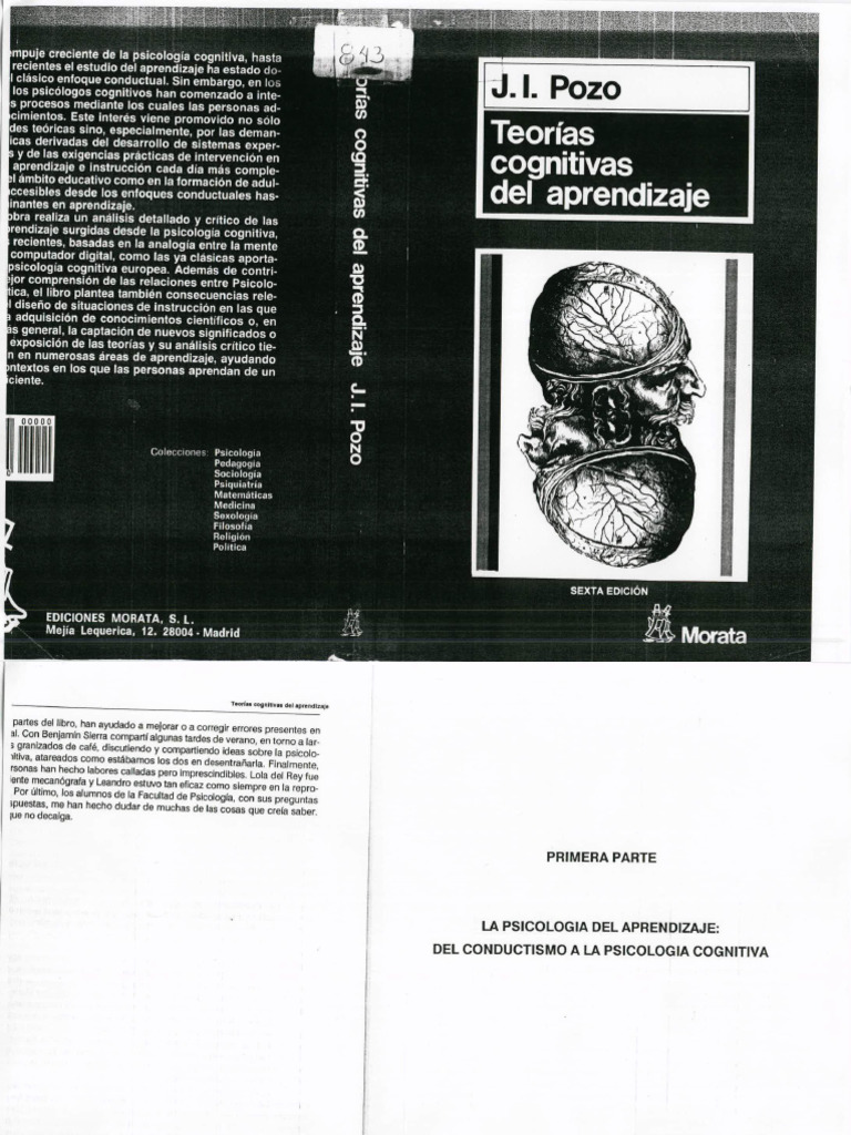 Teorias Cognitivas Del Aprendizaje - Pozo (CAPITULO 2) | PDF