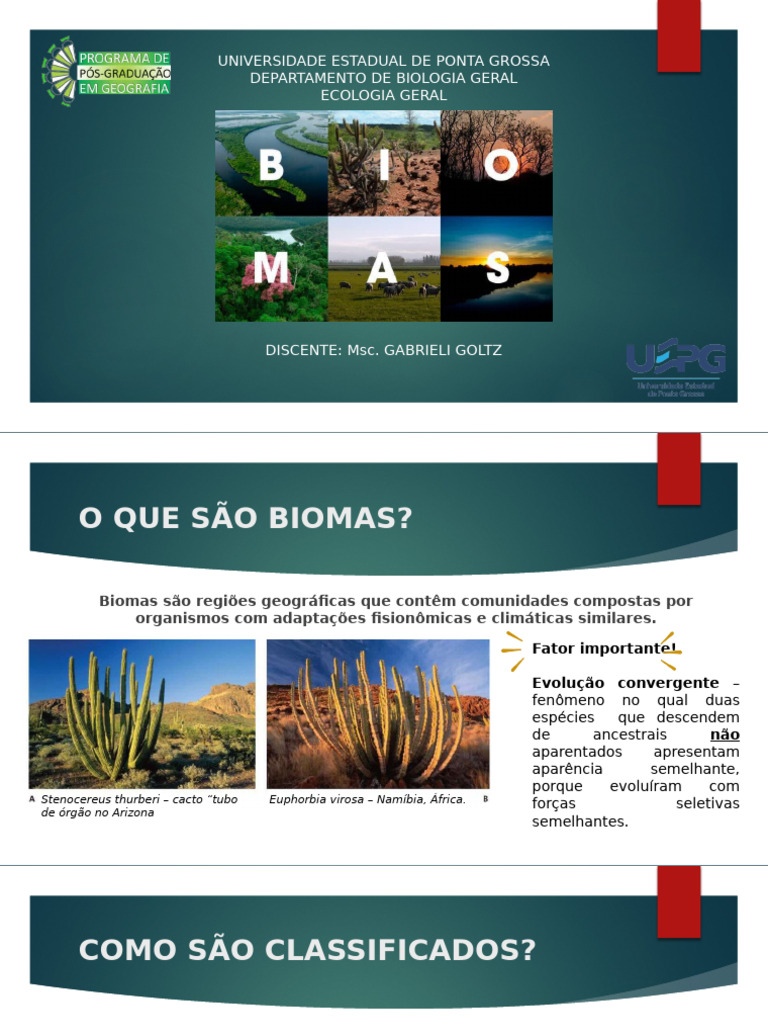 BIOMAS | PDF | Pasto | Florestas
