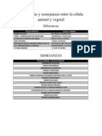 Diferencias y semejanzas entre la célula animal y vegetal