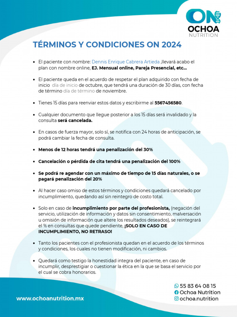 Términos y Condiciones de Consulta 2024 | PDF
