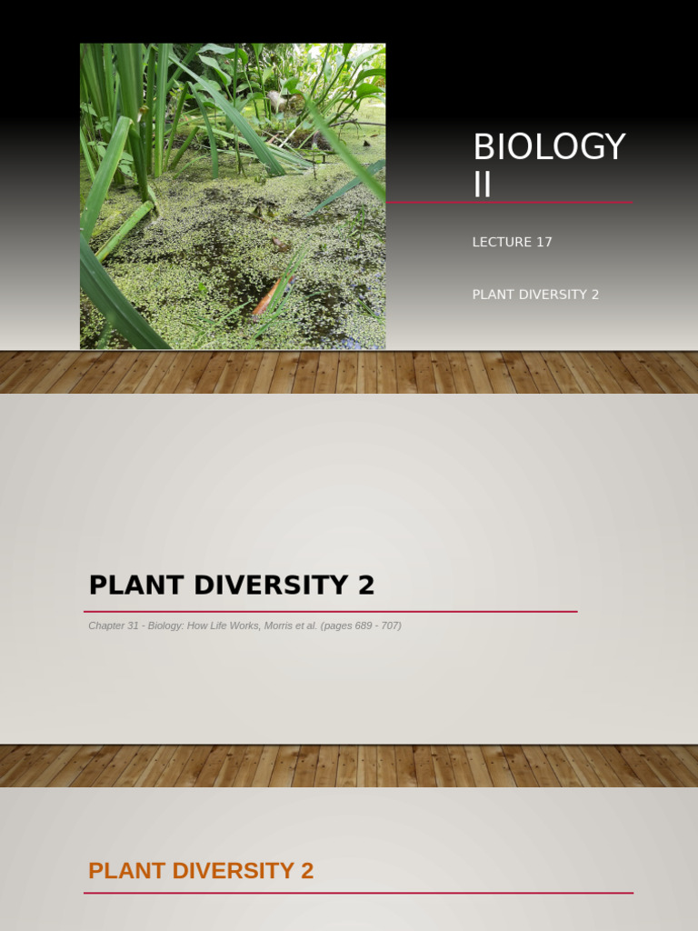 Plant Diversity and Phylogenetic Relationships | PDF | Fern | Plants