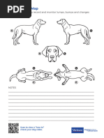 Alpaca Anatomy: Dissection Insights | PDF | Pelvis | Human Anatomy