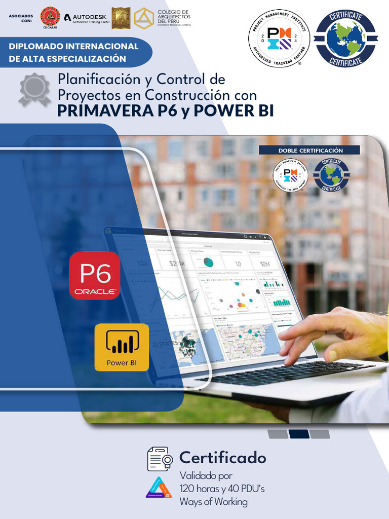 Diplomado en Primavera P6 y Power BI | PDF | Gestión de proyectos ...