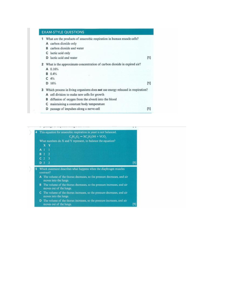 Test 1 Review | PDF