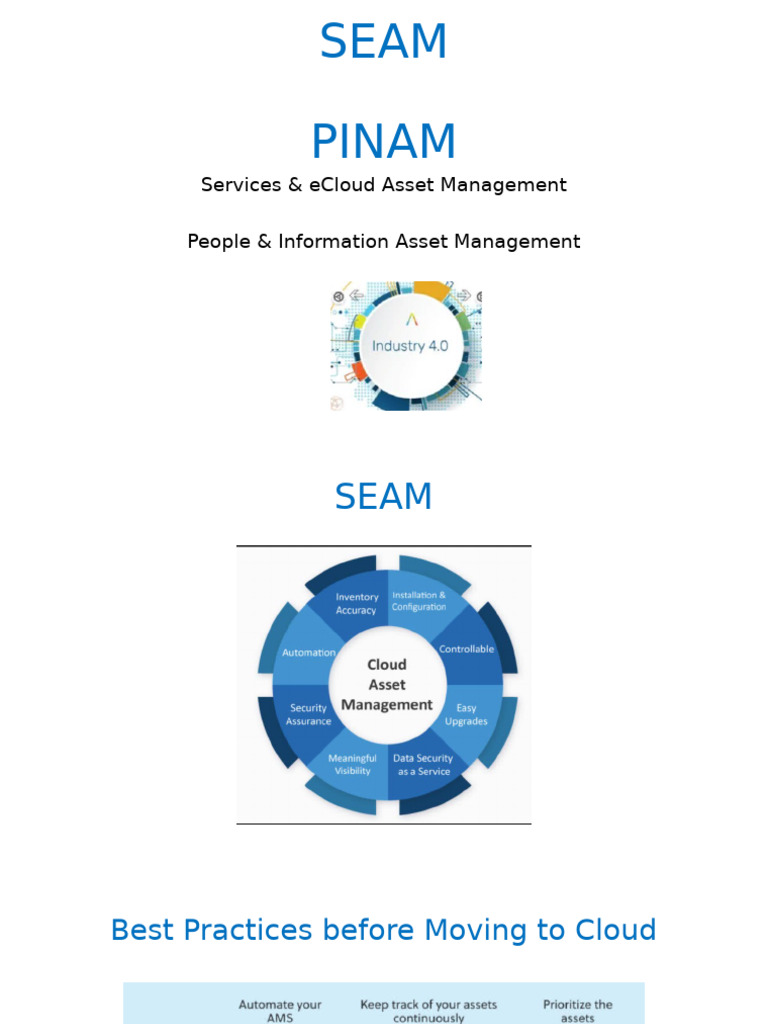 141 - 001 - Cloud PINAM - Main | PDF