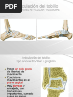 Biomecánica del Tobillo: Estructura y Función | PDF | Tobillo | Pie