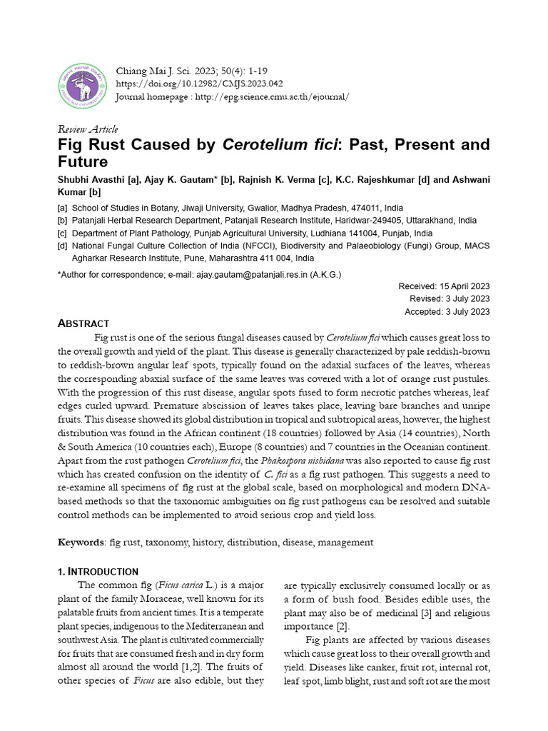 Fig Rust Disease: Cerotelium fici Insights | PDF | Ribosomal Rna | Ficus