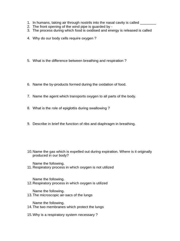 Human Respiratory System Overview | PDF | Respiratory System | Breathing
