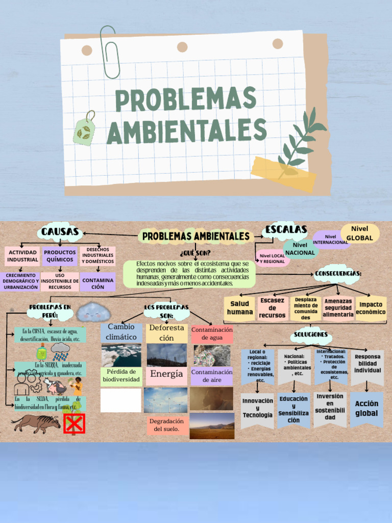 C.sociales - Problemas Ambientales Diapositivas | PDF