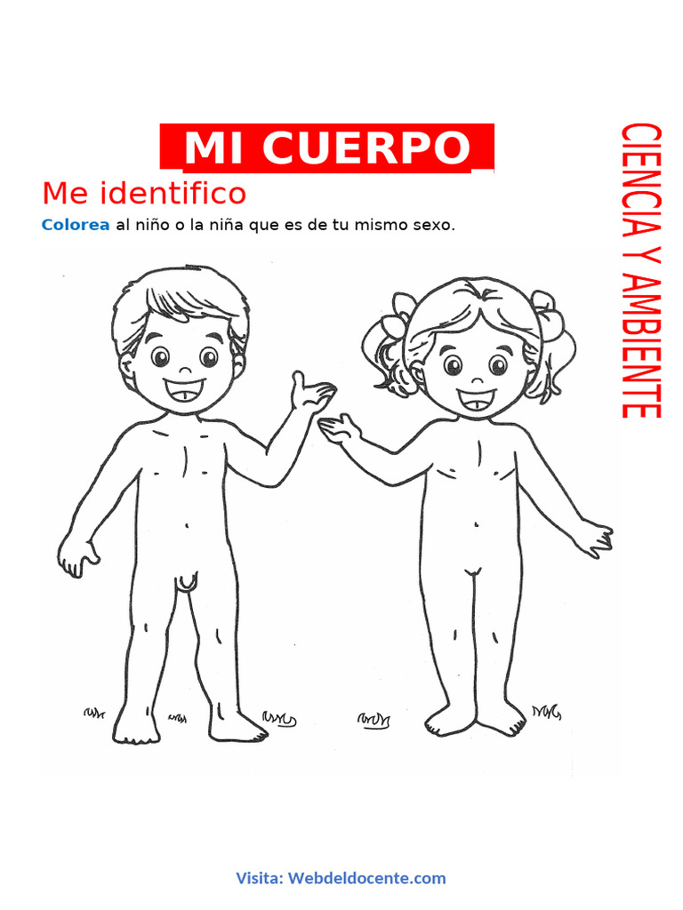 Mi Cuerpo para Niños de 3 Años | PDF, image size:768x1024