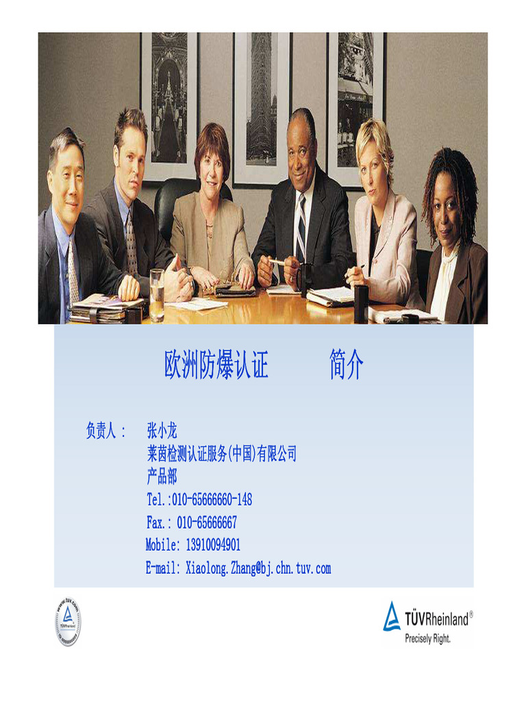 ATEX-95 欧洲防爆认证 (ATEX) 简介 | PDF