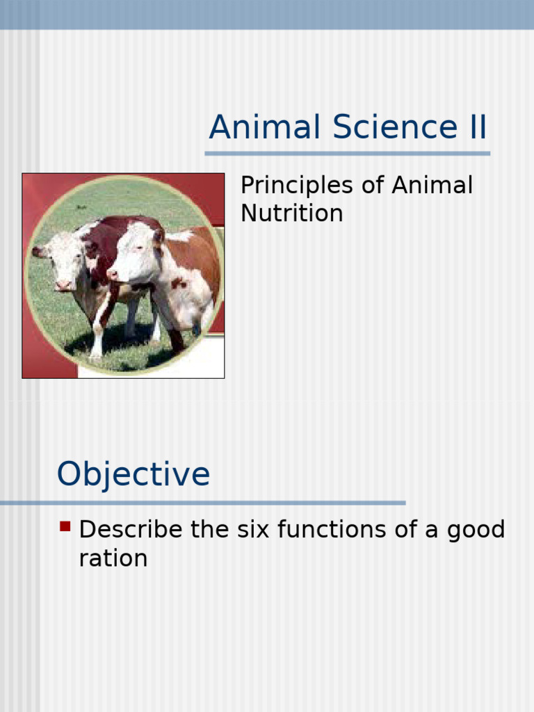 Proxaline in Animal Nutrition Rations | PDF | Cottonseed | Livestock