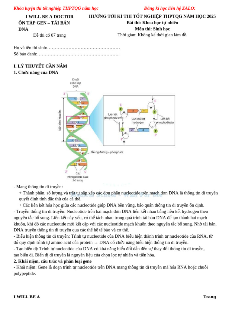 ÔN TẬP DNA | PDF