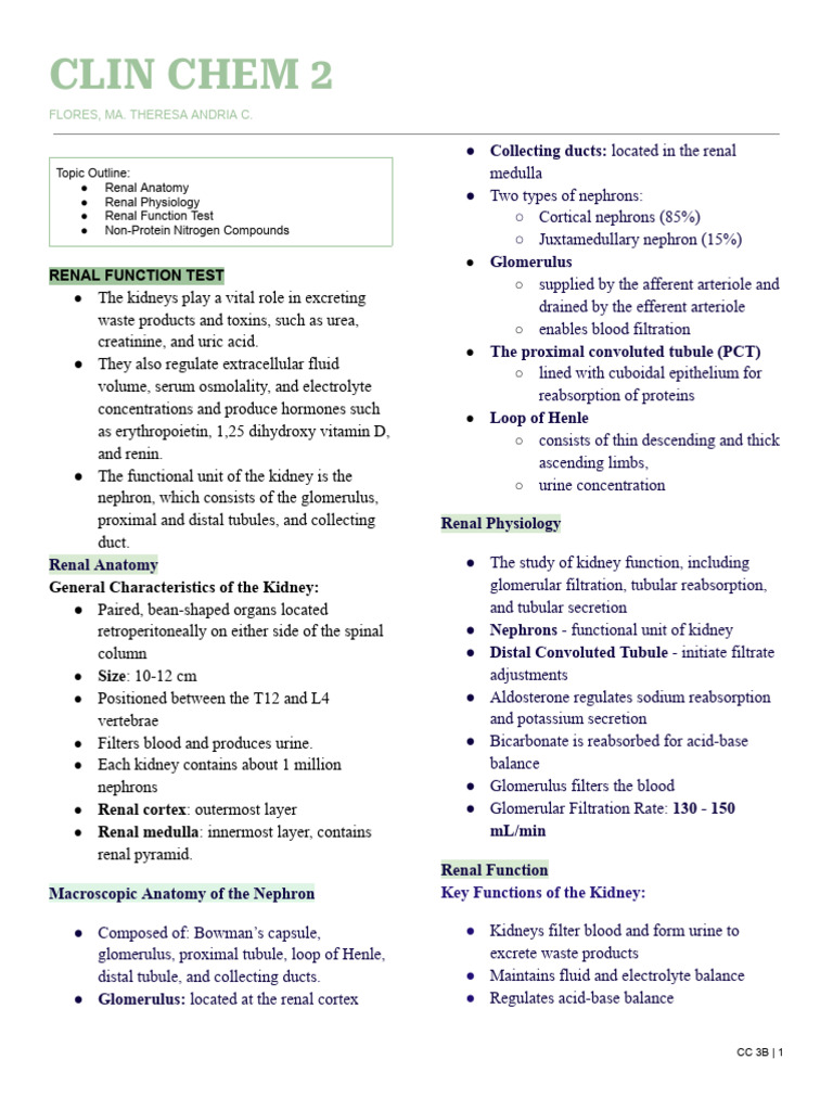 Understanding Renal Function Tests | PDF | Kidney | Creatinine