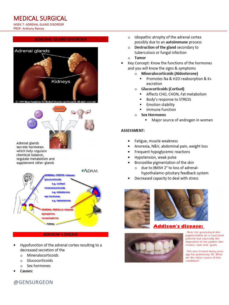 Adrenal Gland Disorder | PDF | Adrenal Gland | Cortisol