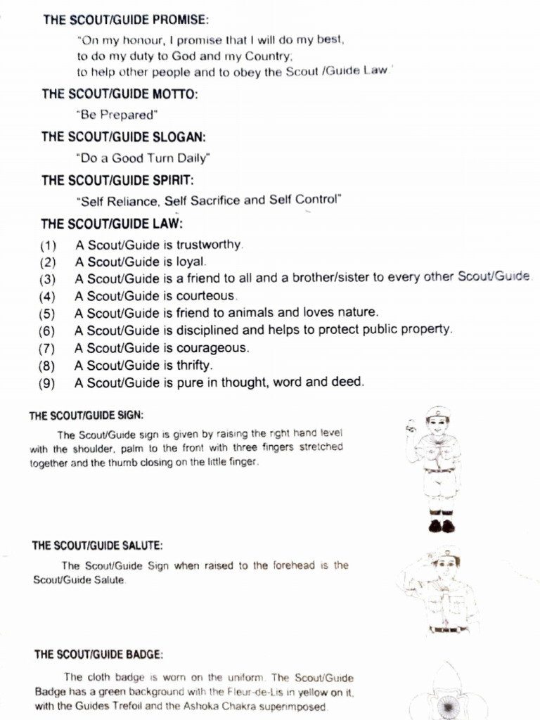 STD 8th Science Practical | PDF