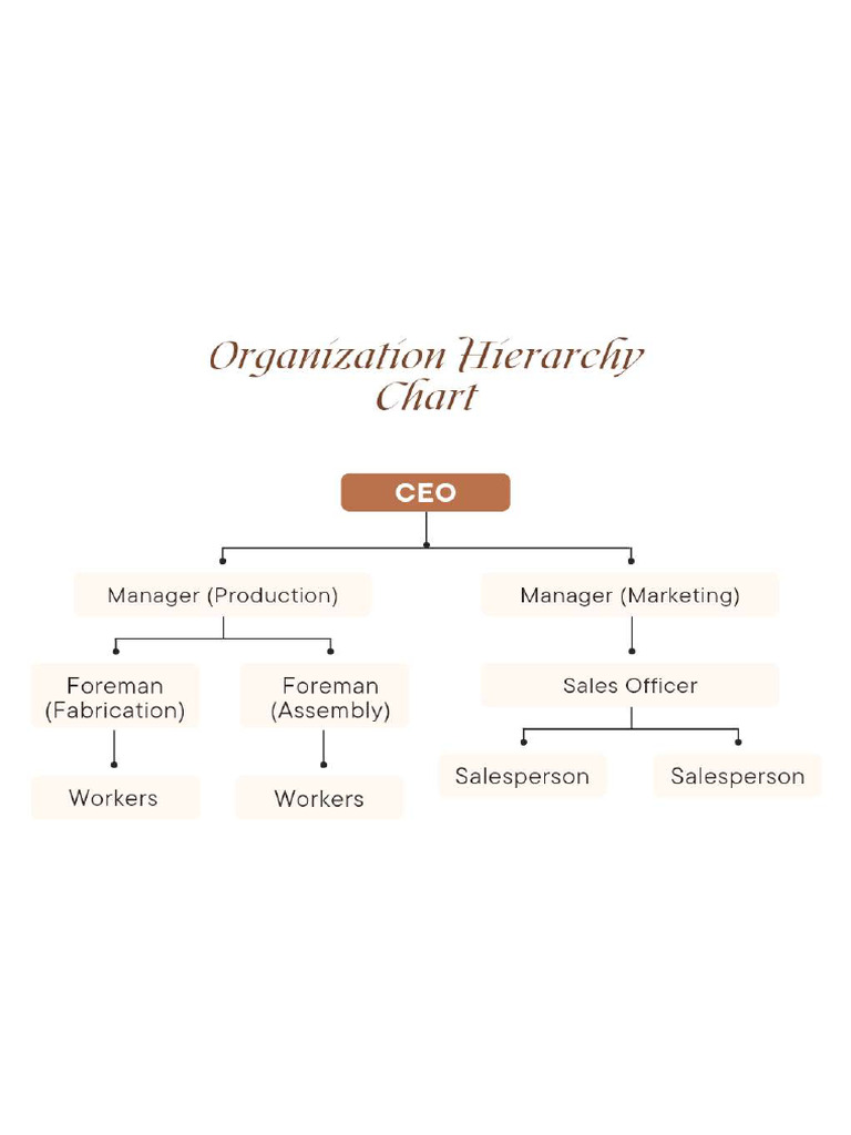 Organization Hierarchy Chart | PDF