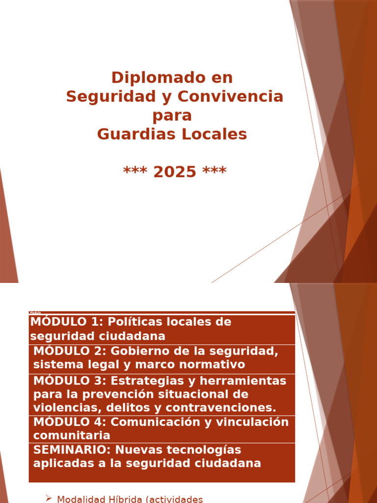 Diplomado en Seguridad Ciudadana 2025 | PDF | Violencia | Capital social