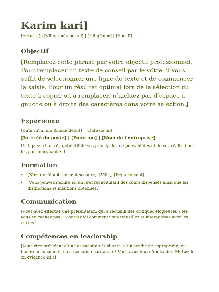 CV de Karim Kari - Objectif Professionnel | PDF