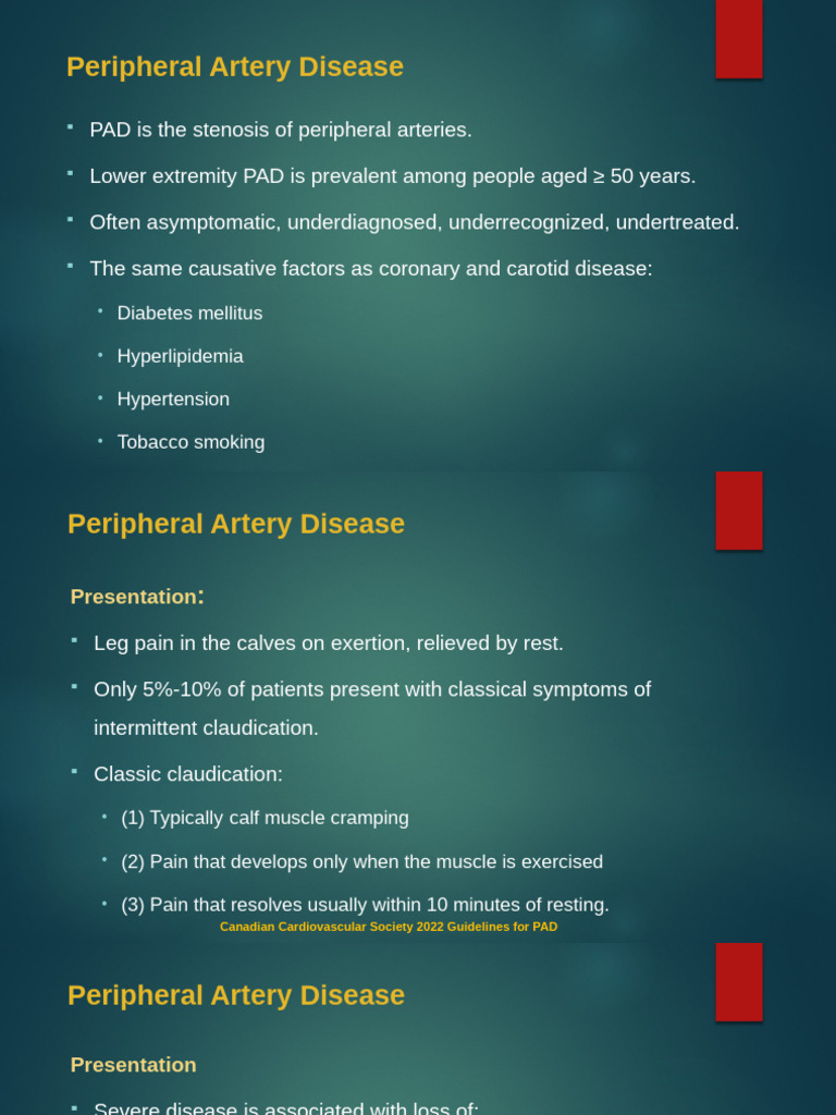 U2.8 Peripheral Artery Disease | PDF | Hypertension | Cardiovascular System