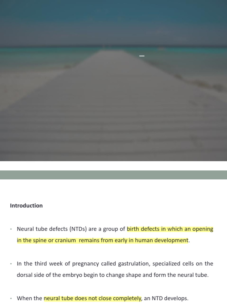 L9-L11 C2 Neural Tube Defects Dysraphism Miscellaneous | PDF ...