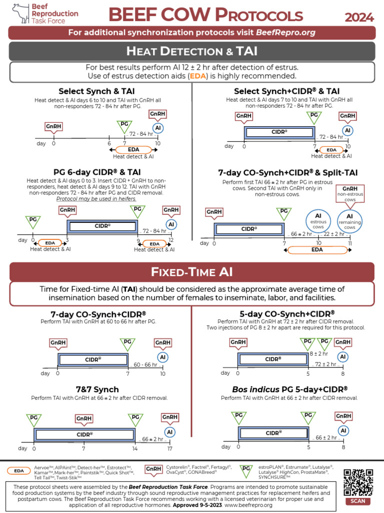 Cow 2024 BRTF - Protocol Sheets 2024 - FINAL - For Print 1 | PDF ...