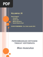 Download perkembangan Ontogeni Tingkat Vertebrata pada mencit Mus musculus by Darwin azis SN84587342 doc pdf