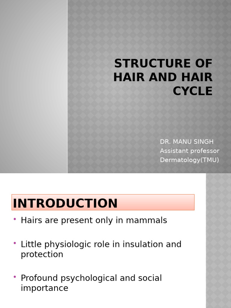 Hair Structure and Growth Cycle Explained | PDF | Epidermis | Hair