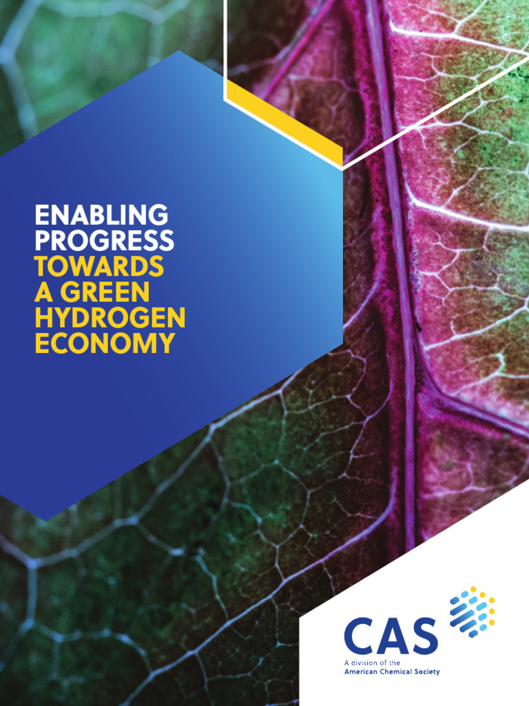 Advancing the Green Hydrogen Economy | PDF | Fuel Cell | Energy Storage