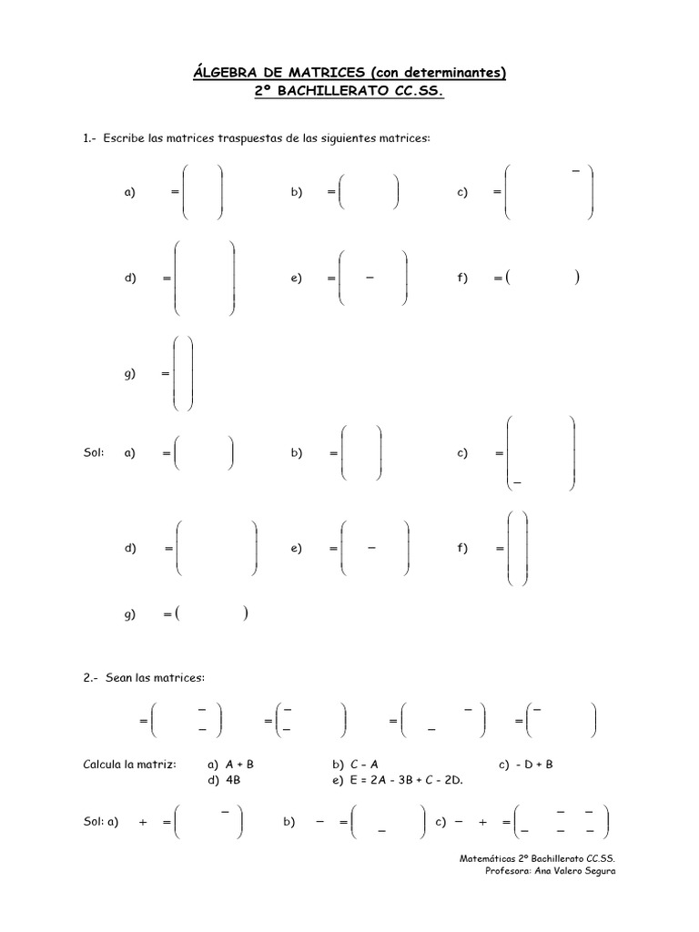 EJERCICIOS TEMA 1 Ã LGEBRA DE MATRICES (Con Determinantes) | PDF ...