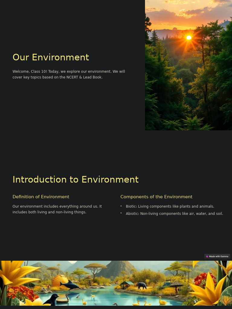 Our Environment | PDF | Ecosystem | Natural Environment