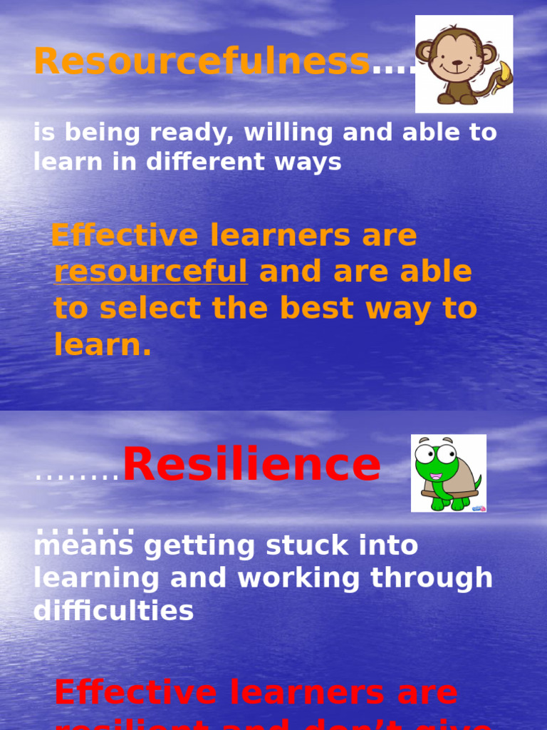 Key Traits of Effective Learners | PDF