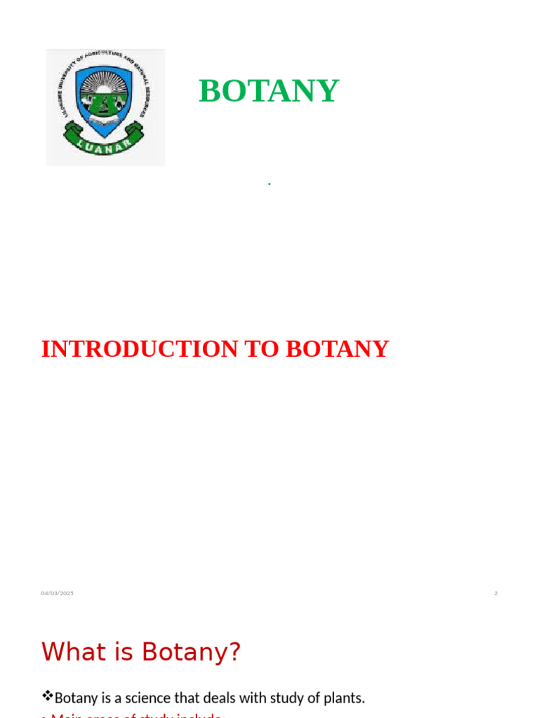 Introduction to Botany: Plant Science Basics | PDF | Tissue (Biology ...