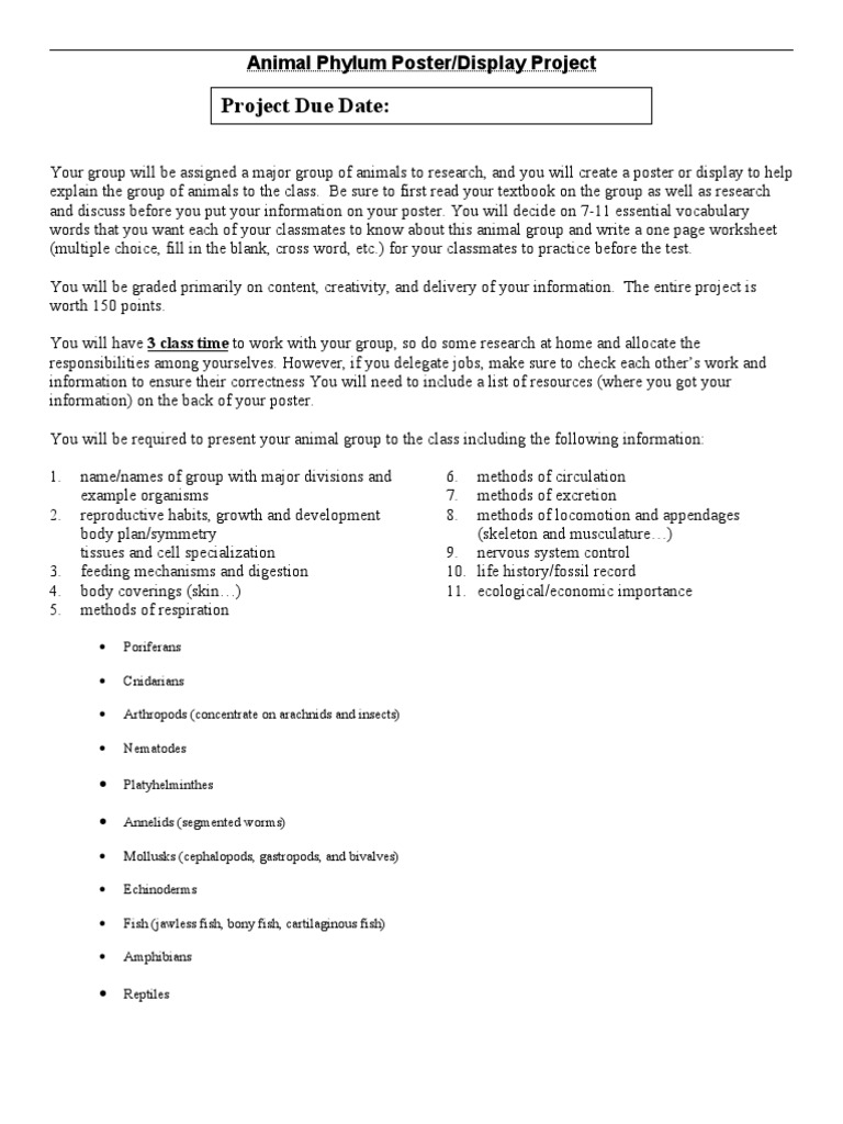 Animal Phylum Project Mod | PDF | Fish | Zoology