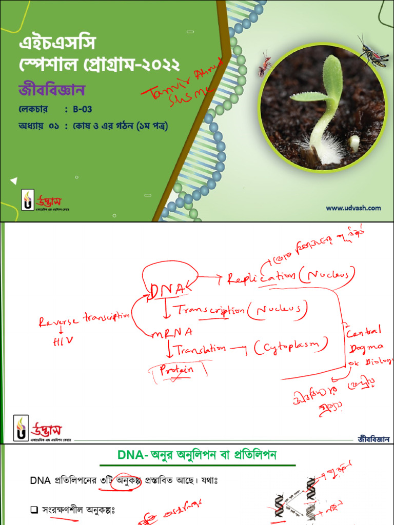 Biology 03 | PDF