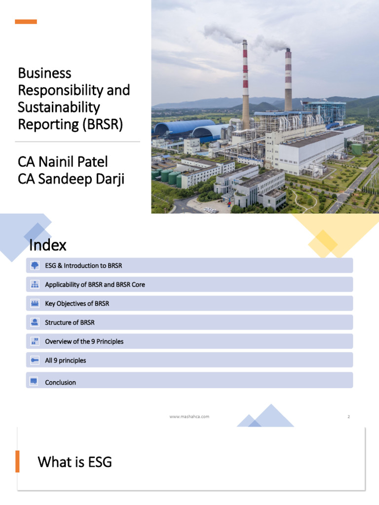 BRSR: ESG Reporting Framework Overview | PDF | Occupational Safety And ...