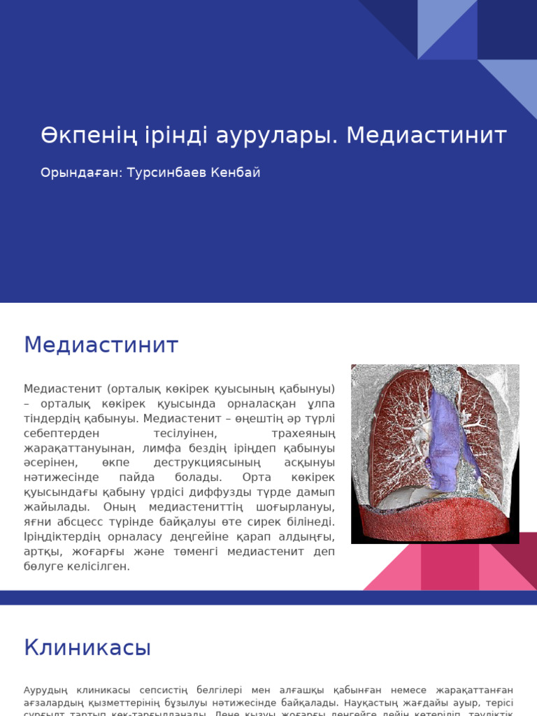 Порно фильм «Лас ерлер жұмысы»