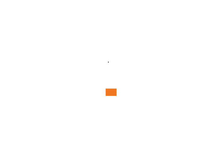 Small Orange | PDF