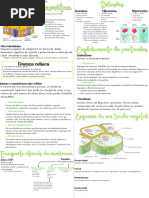 Estrutura e Função do Mesófilo Foliar | PDF | Cloroplastos | Fotossíntese