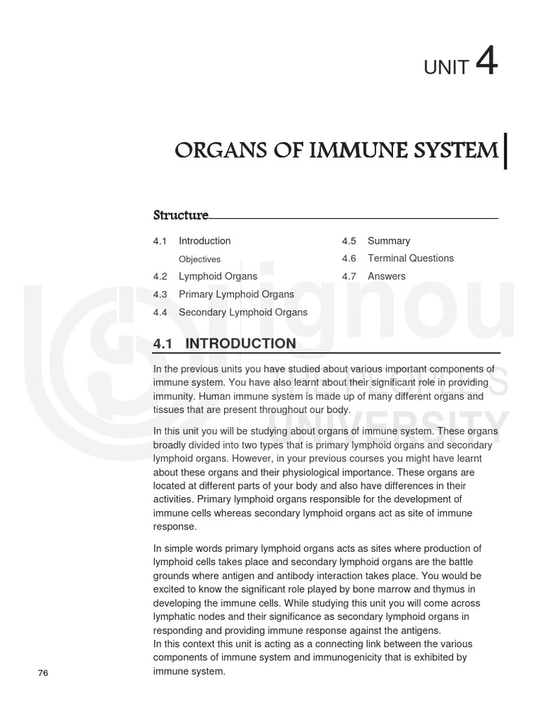 Immune System Organs Overview | PDF | Lymphatic System | Lymph Node