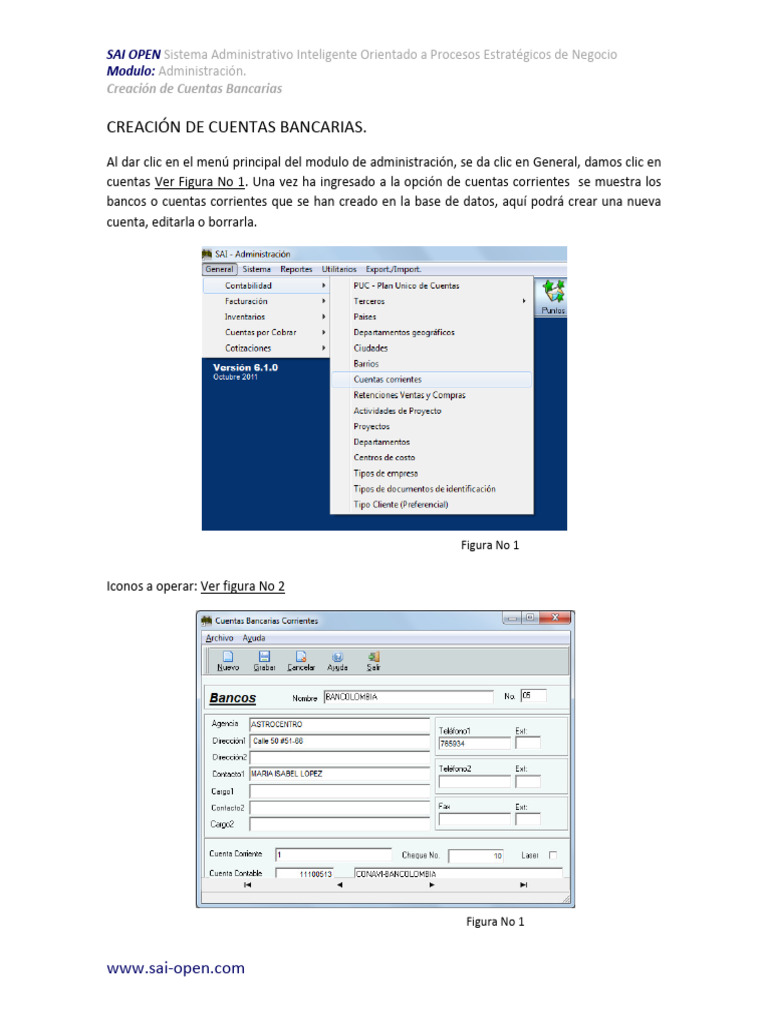 Creacion de Cuentas Bancarias | PDF | Informática | Software