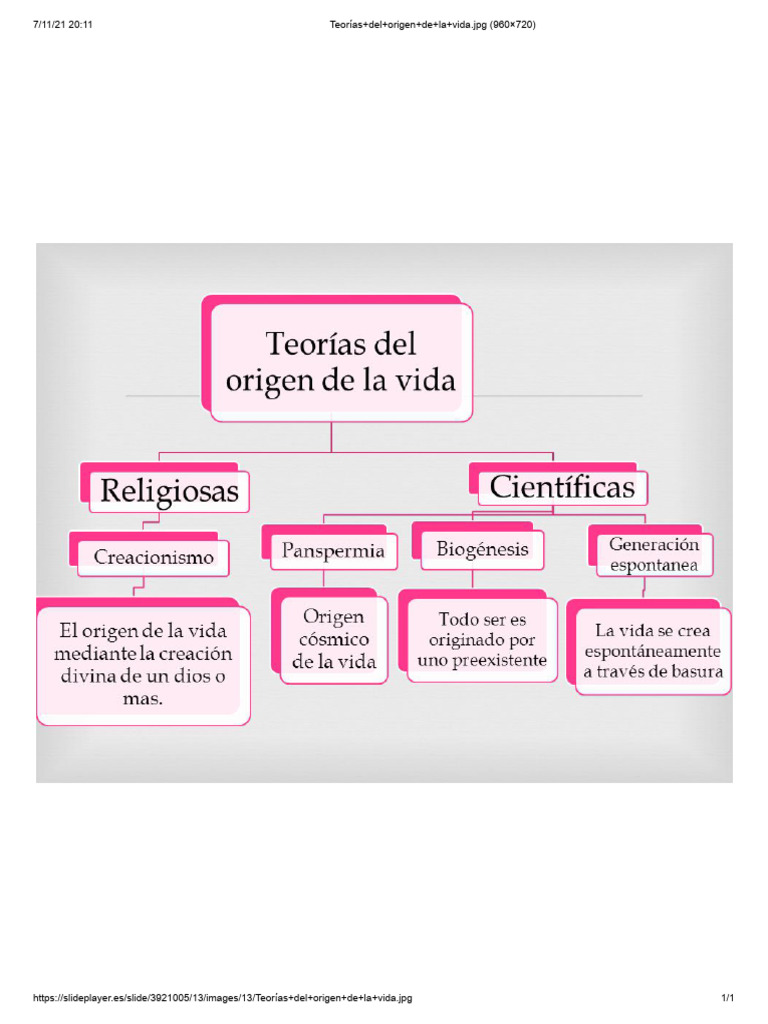 Teorías del origen de la vida | PDF
