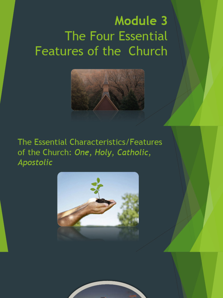 Four Essential Features of the Church | PDF | Catholic Church ...