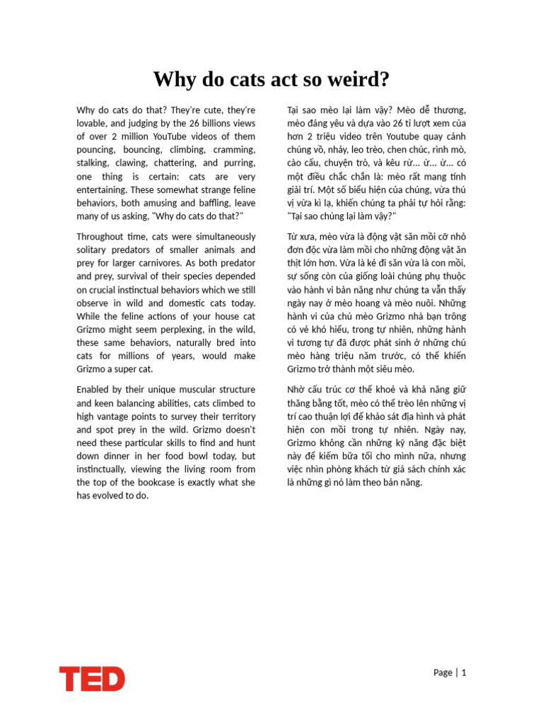 Why Do Cats Act So Weird PDF