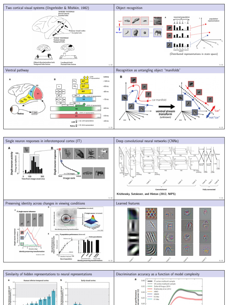 Neural Mechanisms of Visual Recognition | PDF | Neuroscience ...