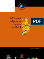 O que voce precisa saber sobre os povos indígenas no brasil de hoje (3)