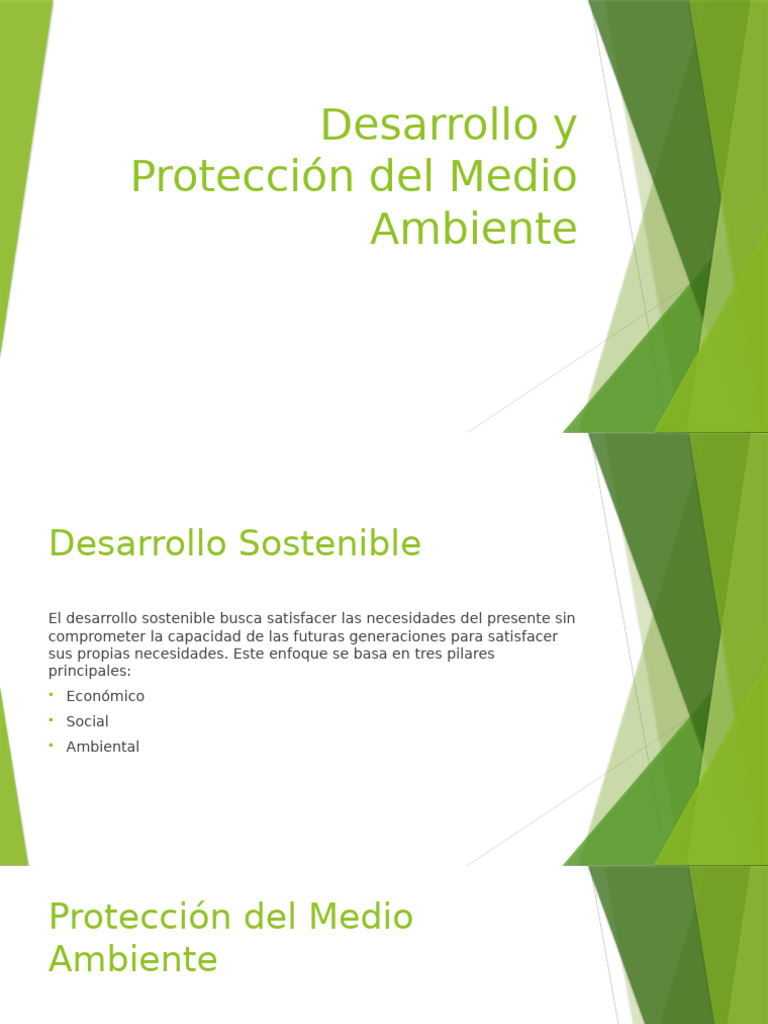 Desarrollo y Protección Del Medio Ambiente | PDF