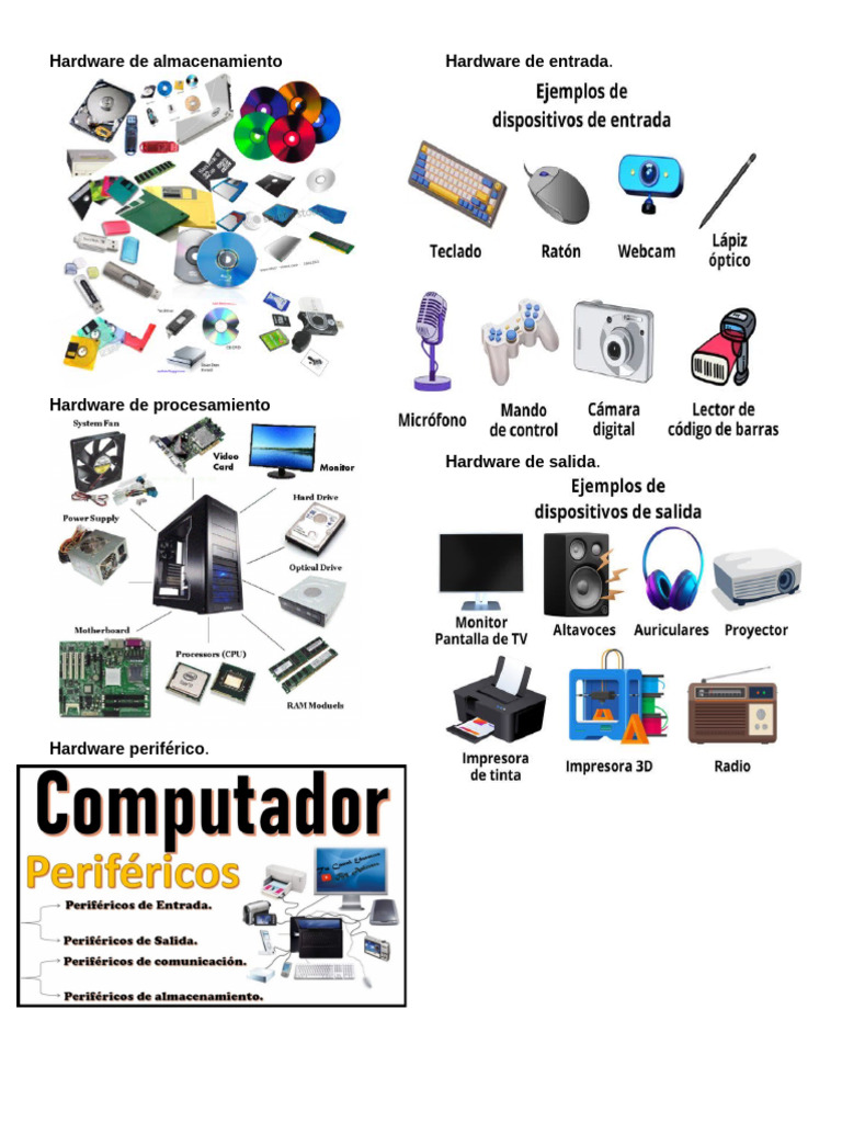 Tipos de Hardware y Software Esencial | PDF
