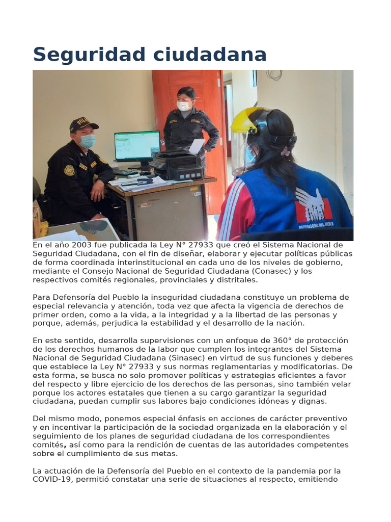 Seguridad Ciudadana | PDF
