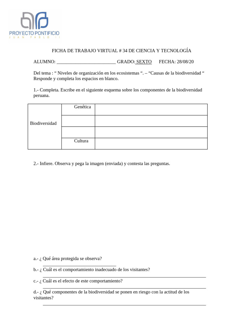 Ficha de Trabajo Virtual N° 34 Ciencia y Tecnología - Sexto Grado | PDF